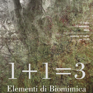 Elementi di biomimica